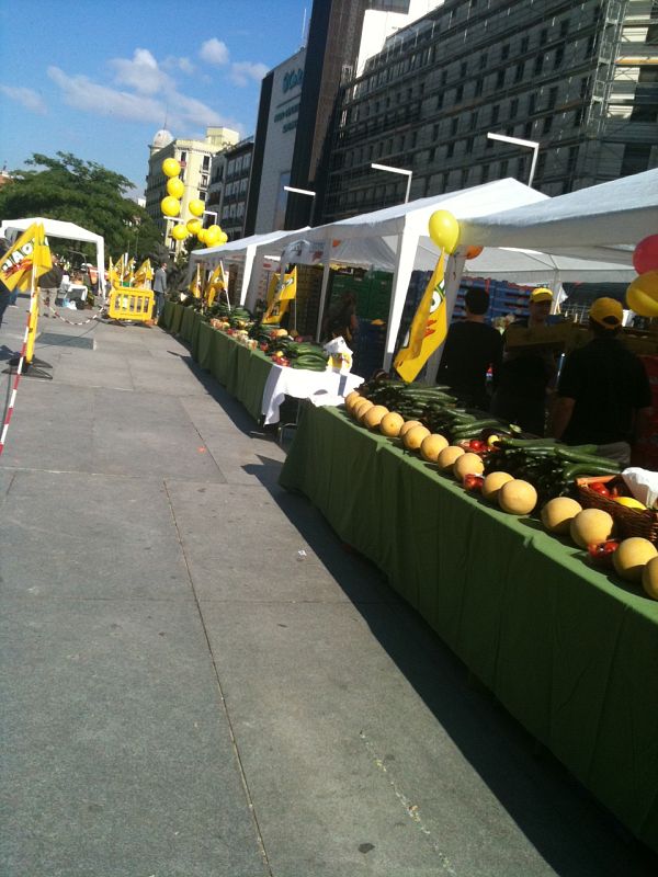 Los agricultores quieren fomentar el consumo de hortalizas y por eso han efectuado el reparto