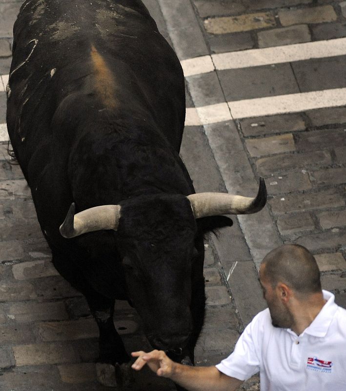 Quinto encierro San Fermín 2011