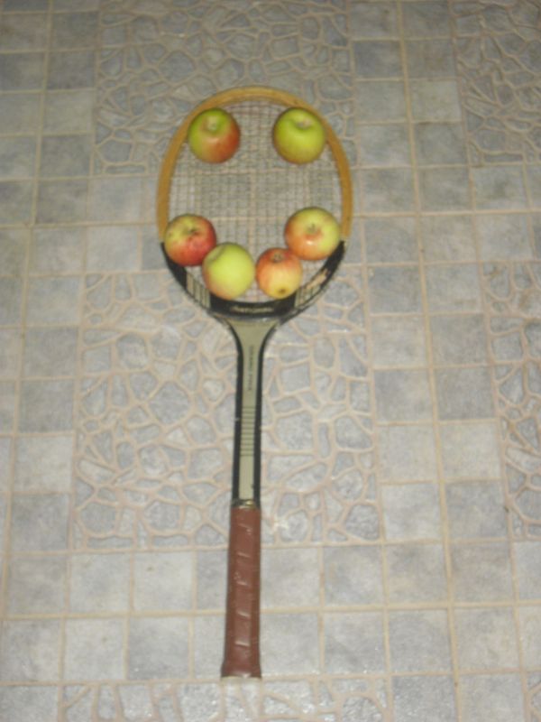 La felicidad de la raqueta formada por la fruta del árbol de mi patio que florece en estas fechas veraniegas.