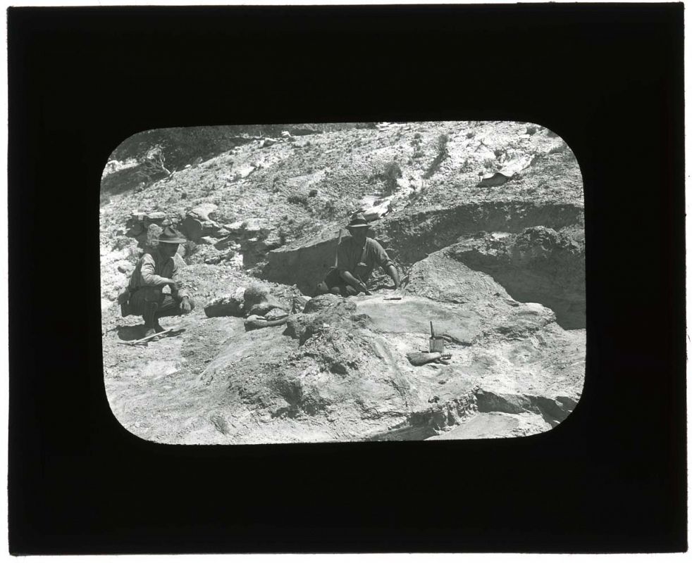 Excavación en el Monumento Nacional de los Dinosaurios en Quarry, Utah, en 1923