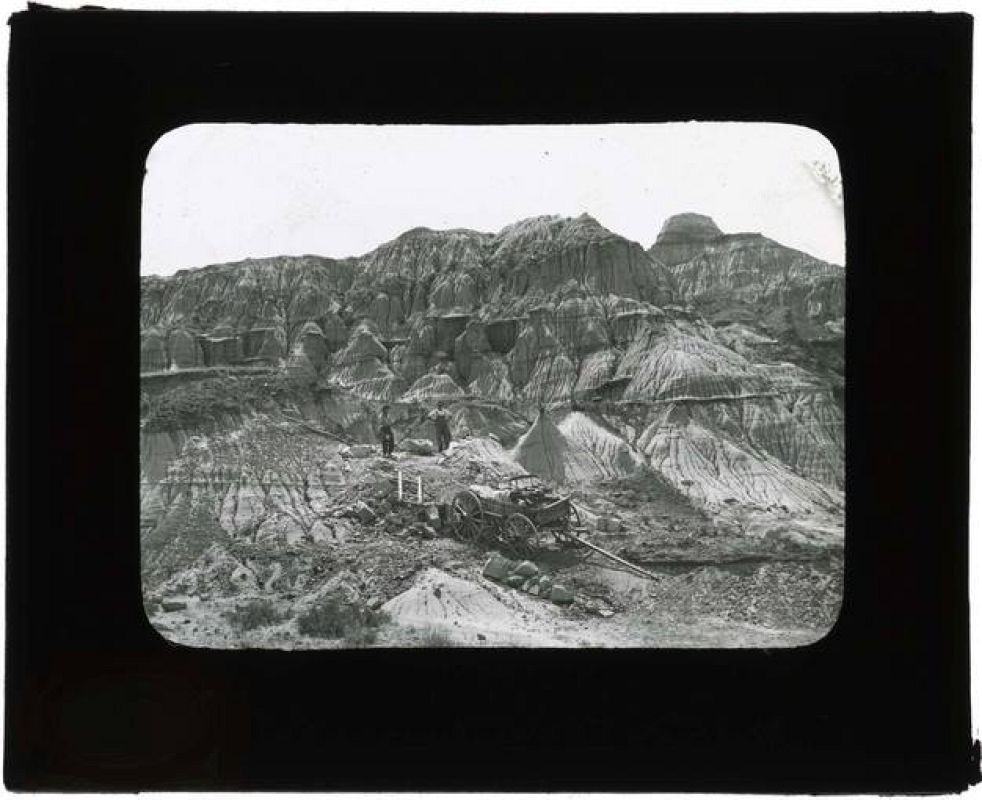 Excavaciones de Barbour, Wortman y Gidley 