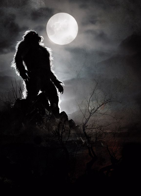 Un hombre lobo de Arga aulla a la luz de la luna
