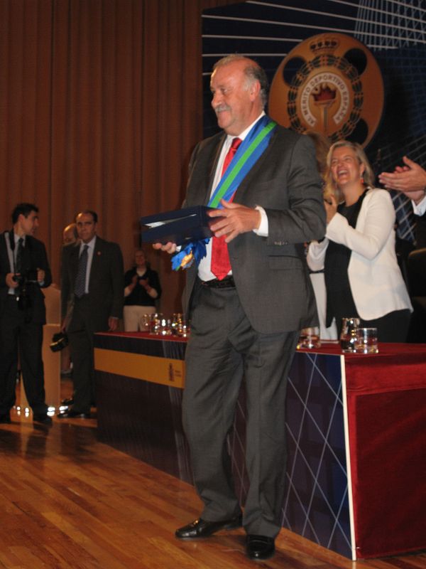 El seleccionador nacional de fútbol, Vicente del Bosque, ha recibido la Gran Cruz de la Real Orden del Mérito Deportivo.