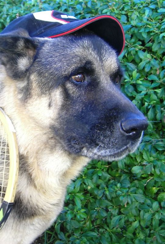 Manda tu mejor foto de tenis.