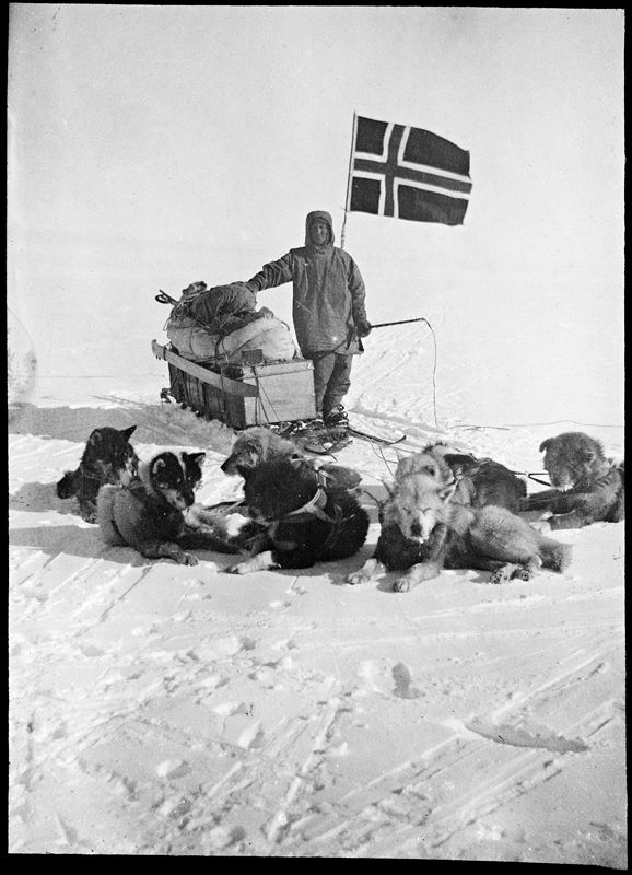 Oscar Wisting posa con sus perros y su trineo, con una bandera noruega, durante la expedición al Polo Sur de 1911