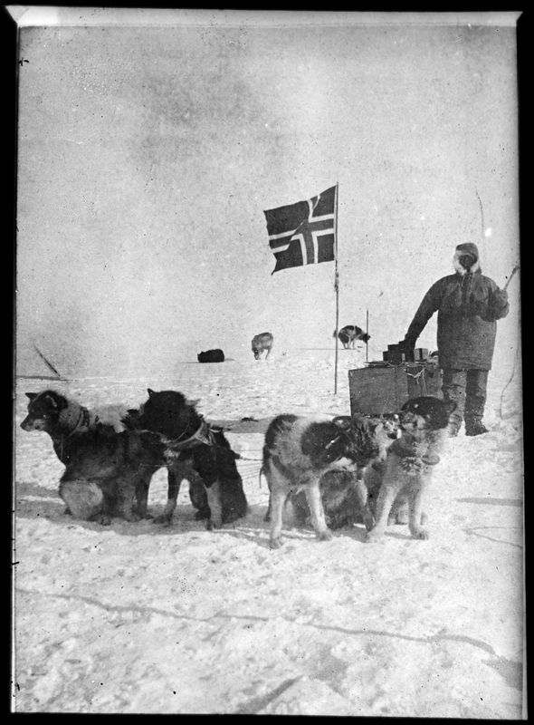 Olav Bjaaland con los perros que tiraban de su trineo en el viaje al Polo Sur