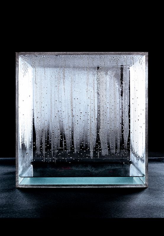 Hans Haacke. Cubo de condensación, 1963-1965. Metacrilato, agua, luz, corrientes de aire, temperatura del espacio expositivo. Colección MACBA. Fundació Museu d¿Art Contemporani de Barcelona. Donación del National Committee and Board of Trustees Whit