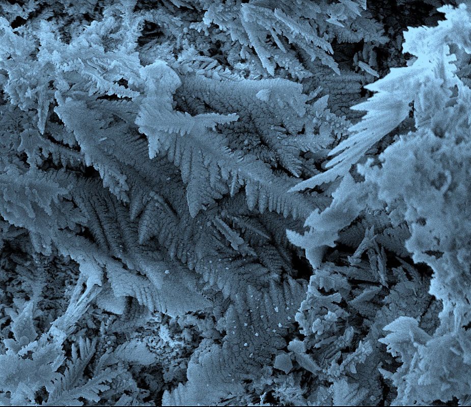 Naturaleza inerte invernal