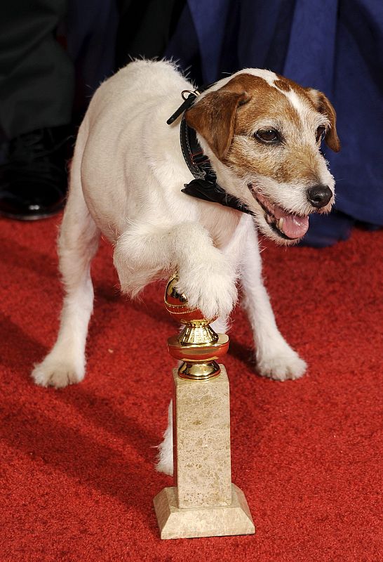 El perro Uggie the Dog posa junto al premio a Mejor Película Comedia o Musical obtenido por el filme "The Artist"