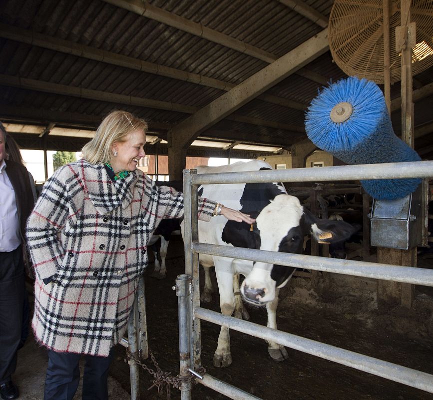Mercedes Fernández Elecciones Asturias 2012