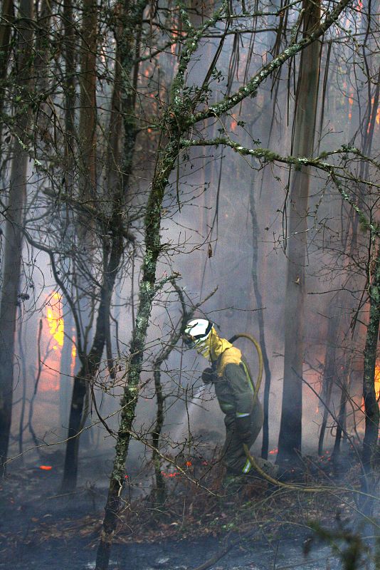Un bombero trabaja en el parque natural de las Fragas do Eume.