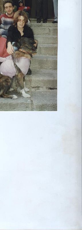 concierto de manic estreet preacher