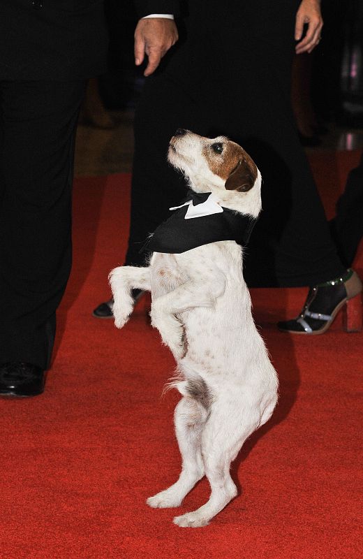 El perro de 'The Artist' en la Casa Blanca