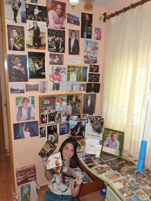 concierto david bisbal en jaen  el 7 de julio