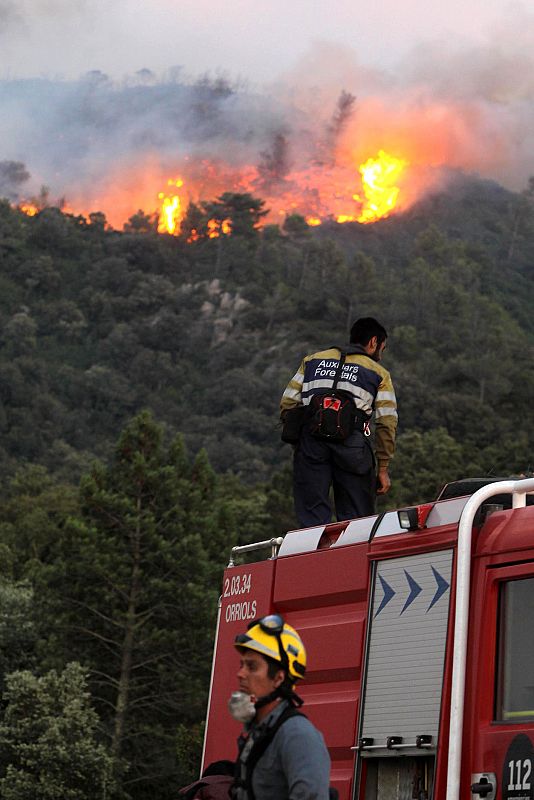 300 bomberos luchan contra las llamas