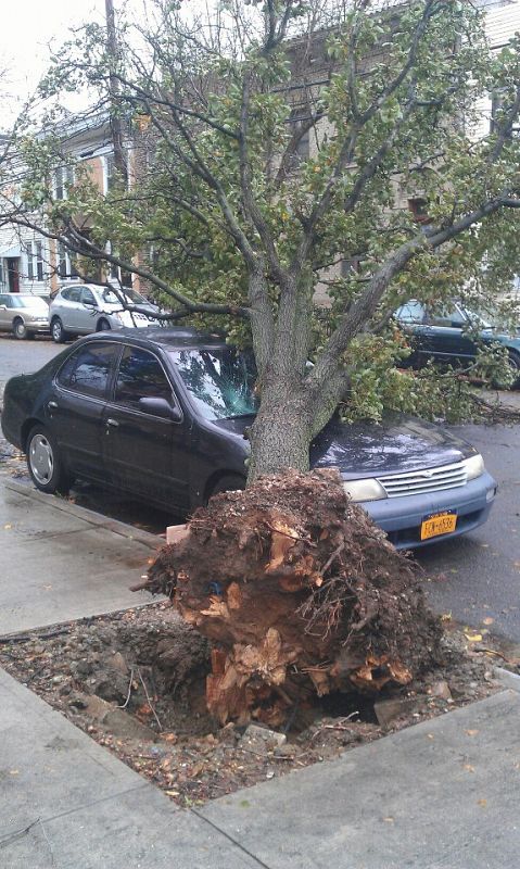 Sandy en Queens