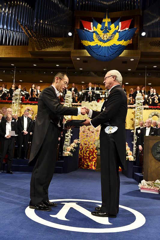 Yamanaka of Japan, joint winner of the 2012 Nobel Prize for Physiology or Medicine, receives his prize from Sweden's King Carl XVI Gustaf during the Nobel Prize award ceremony at the Stockholm Concert Hall in Stockholm