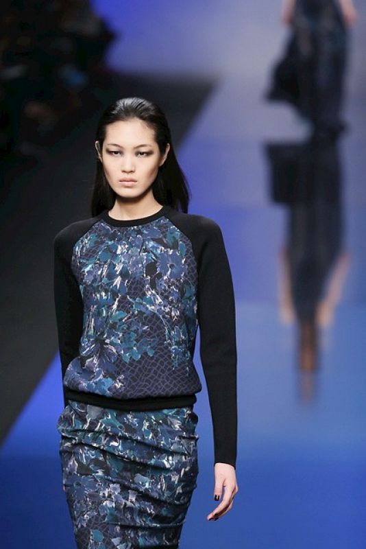 Elie Saab, Otoño e invierno 2013/14