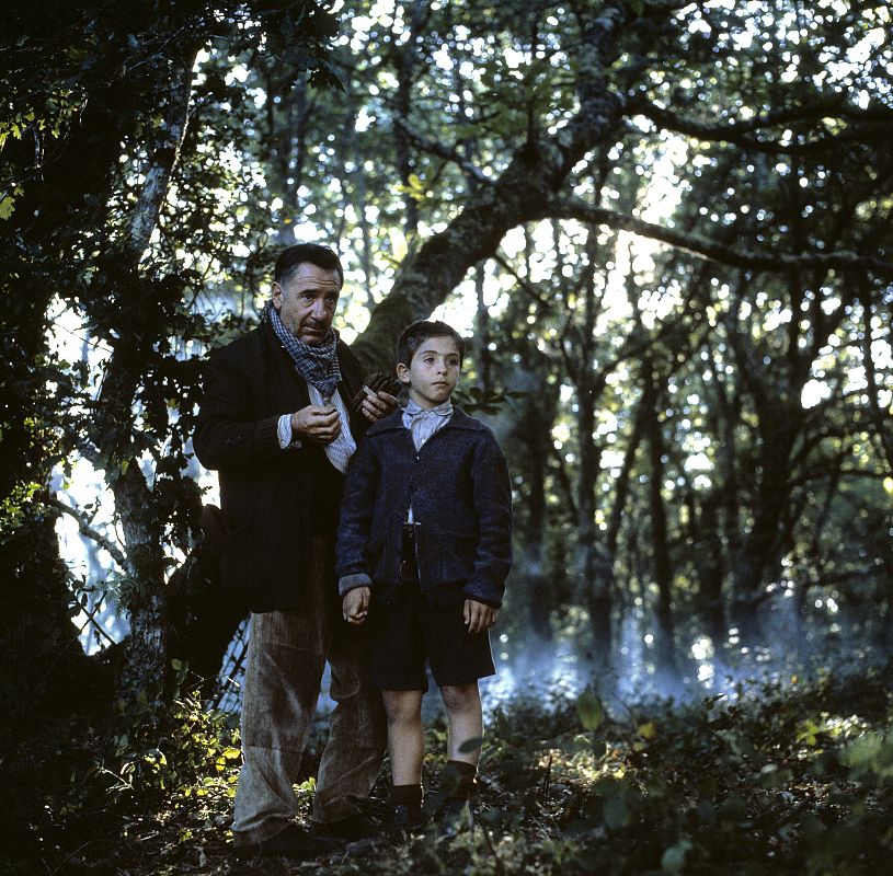 Alfredo Landa en 'El bosque animado'