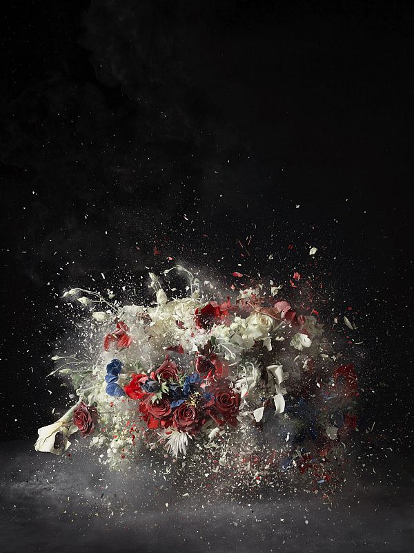 "Blow Up: Sin título 5", de Ori Gersht, 2007.