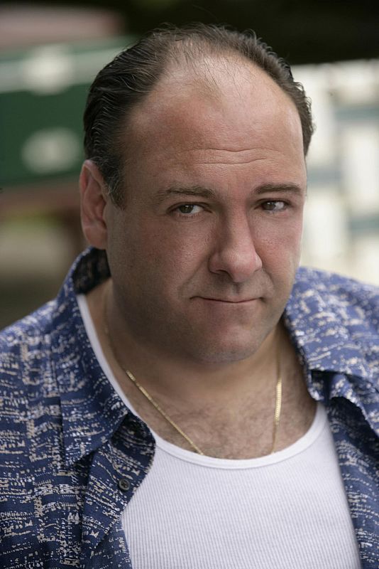 Durante 86 episodios repartidos en 6 temporadas, James Gandolfini fue el duro y vulnerable Tony Soprano.