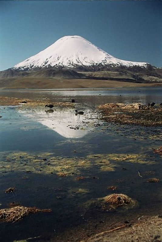 Volcán Parinacota y lago Chungará, Chile