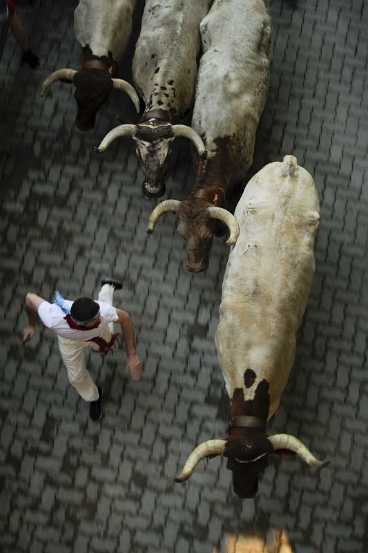 Un mozo corre junto a la manada de los Valdefresno que han corrido hoy el tercer encierro de Sanfermines 2013