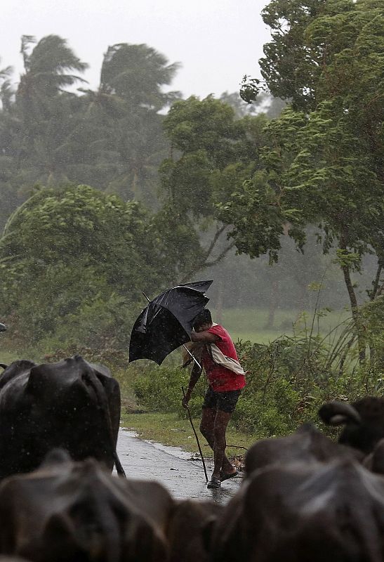 A boy tries to cover himself with an umbrella during heavy rain brought by Cyclone Phailin in Ichapuram town