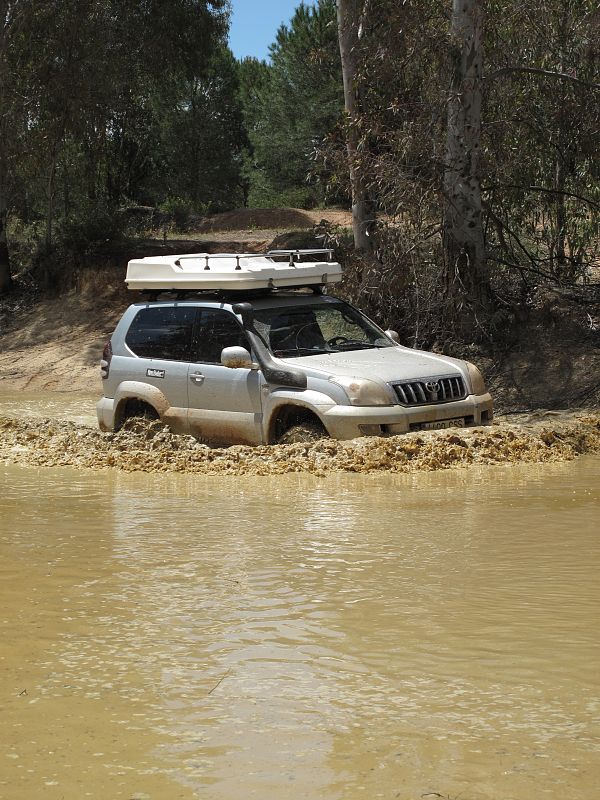 Manuel  Perez Paniagua