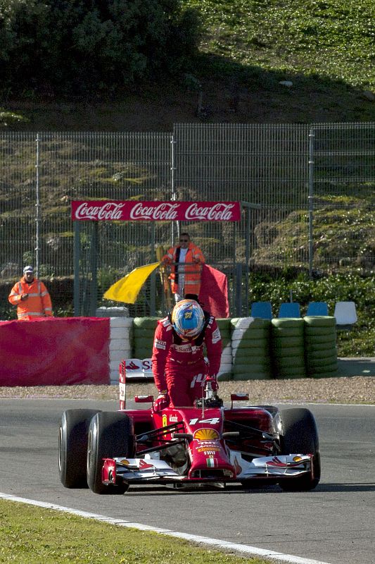 Avería en el F14 de Fernando Alonso