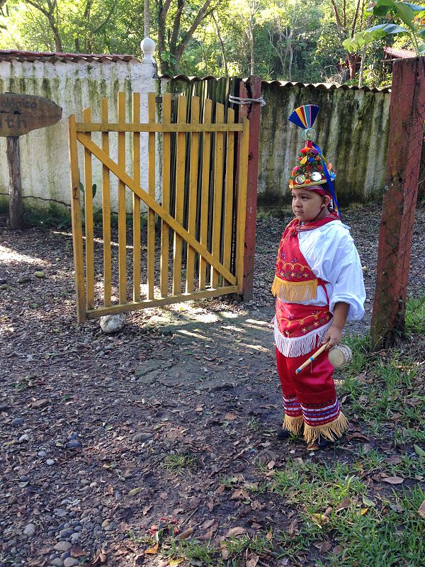 Veracruz, la cuna mexicana de poetas, pintores y compositores