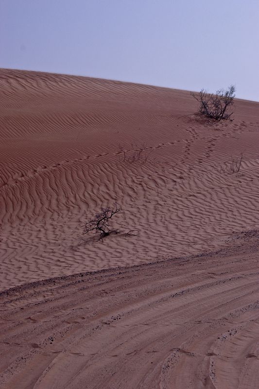 Desierto de Dubái