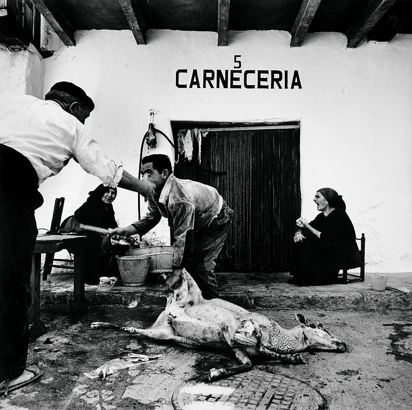 Fernando Gordillo, Carnicería, 1966