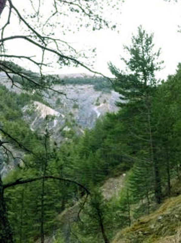 Una imagen del lugar de los Alpes donde se ha estrellado el avión, proporcionada por la Gendarmería francesa.