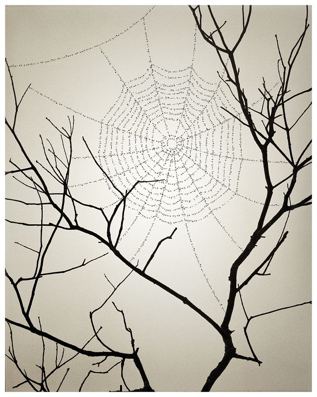 Sin título, Chema Madoz (2012)
