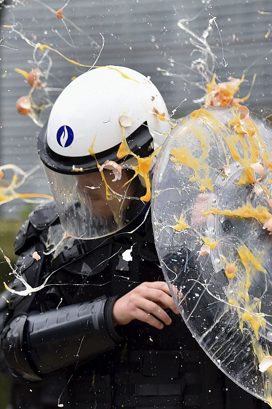 Un agente de policía se protege con su escudo de una lluvia de huevos lanzada por los ganaderas europeos que protestan en Bruselas por el precio de la leche