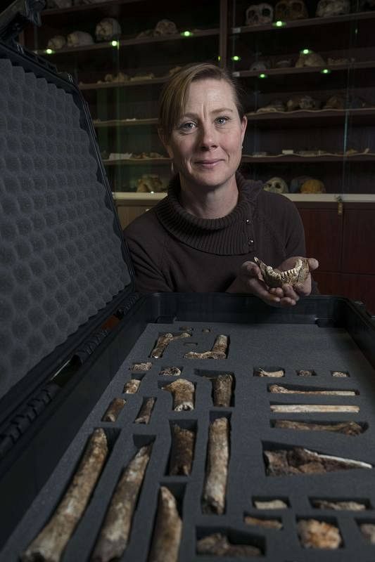 La investigadora Marina Elliot muestra los fósiles hallados