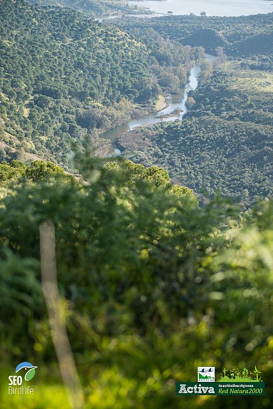 Paisaje Sierra Norte de Sevilla