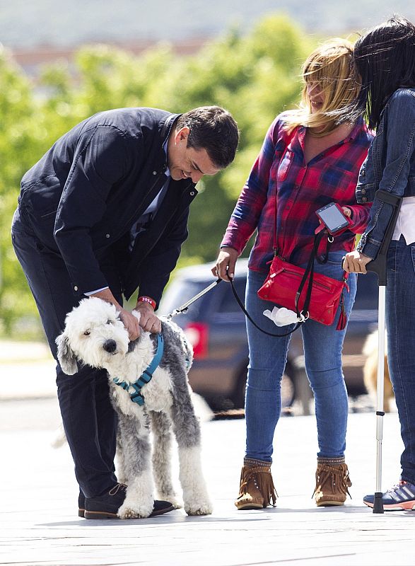 El candidato socialista a la Presidencia del Gobierno, Pedro Sánchez, a su llegada a un acto electoral en Logroño.