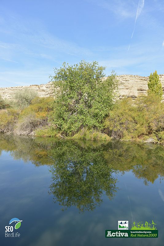 Ribera del Jarama en Cortados y cantiles del Jarama