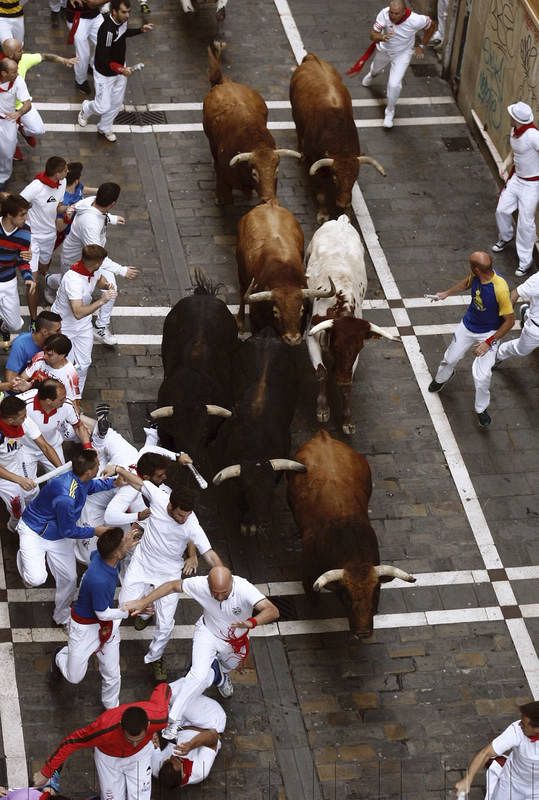 Los toros de Jandilla han hecho una carrera limpia 