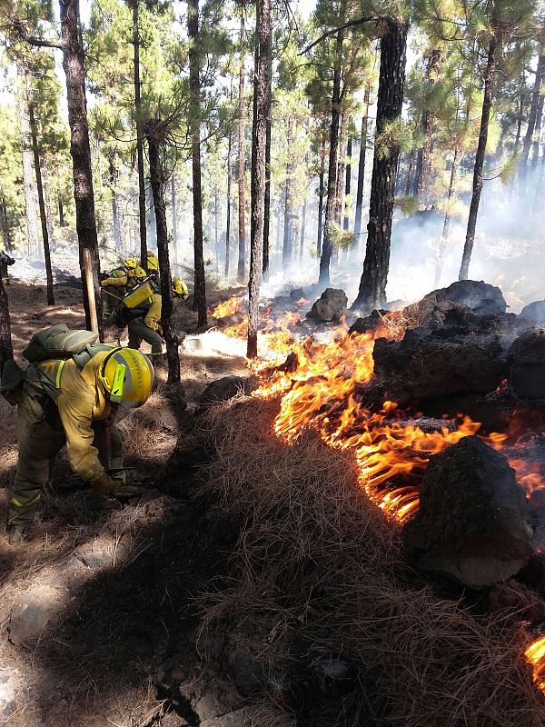 Estabilizado el primer perímetro del incendio de La Palma en todos sus frentes