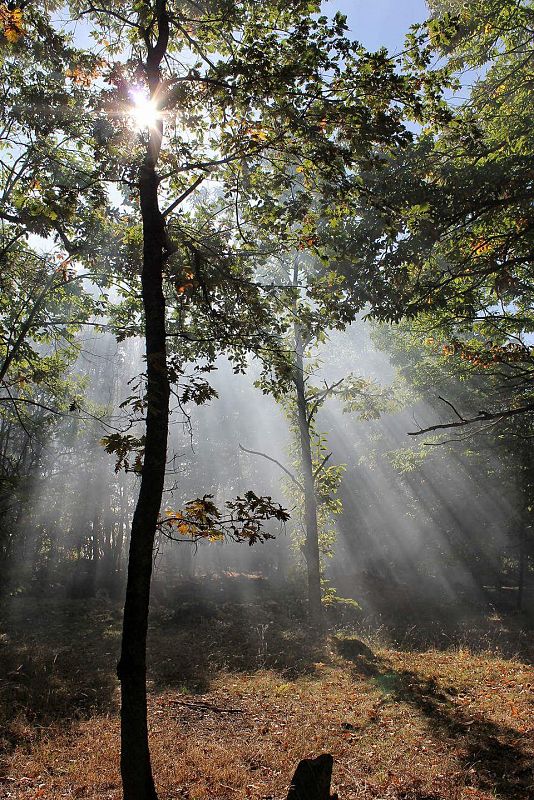 Aquí la tierra - Reflejos de luz