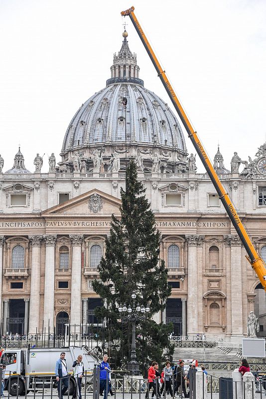 Instalación del árbol de Navidad en la Plaza de San Pedro