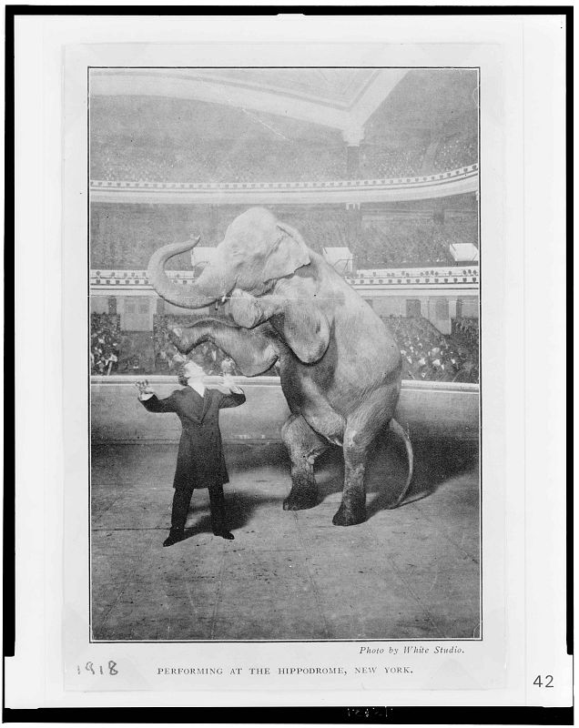 Houdini y Jennie la elefanta actuando en el Hipódromo de Nueva York (Library of Congress)