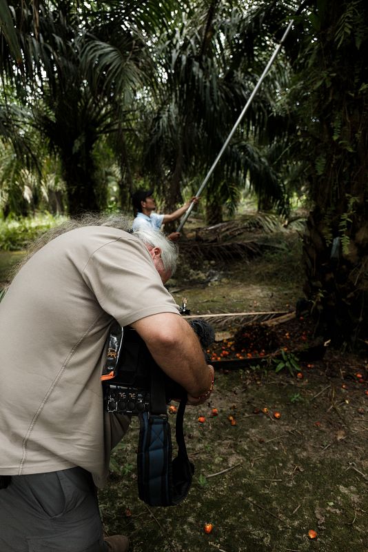 Rodaje en una plantación de palma cercana a Parenggean