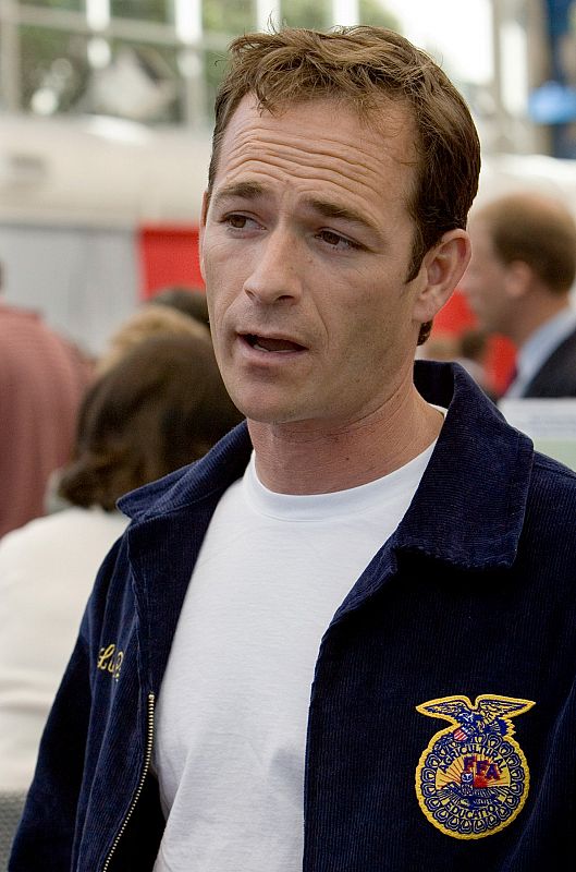 La trayectoria de Luke Perry