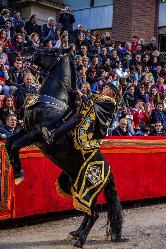 En la peculiar Semana Santa de Lorca, Murcia, las escenas del Antiguo Testamento se representan con grandes carrozas alegóricas, impresionantes tiros de caballos y espectaculares grupos ecuestres