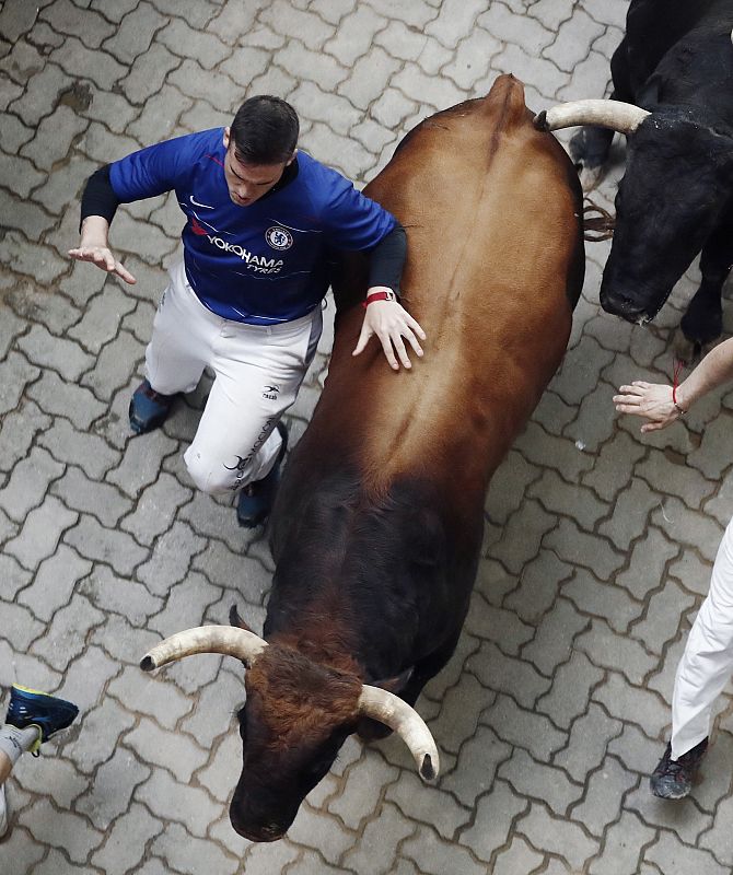 Los toros de la ganadería de La Palmosilla, de Tarifa (Cádiz), a su paso por el tramo del callejón.