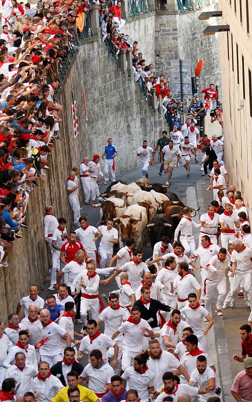 Los toros de la ganadería de La Palmosilla, de Tarifa (Cádiz), a su paso por la calle Santo Domingo.